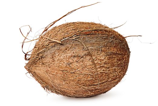 Entirely rotated coconut isolated on white background