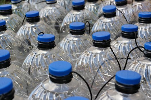 traps for catching lamprey from PET bottles