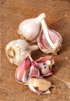 Garlic wholly and cloves scattered on sackcloth