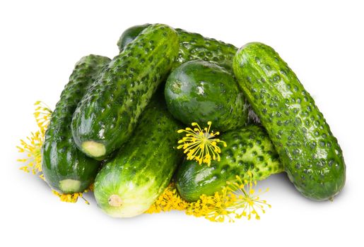 Fresh Cucumbers And Dill Isolated On White Background