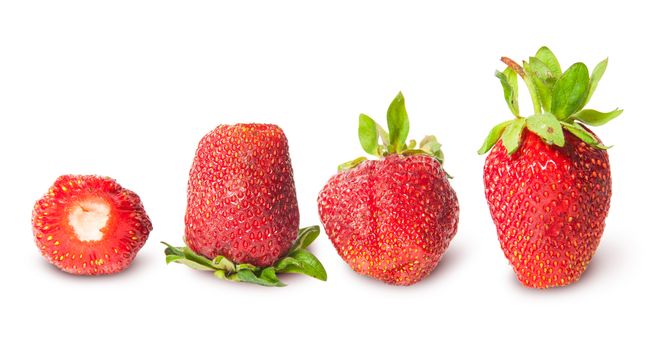 Four strawberries in a row isolated on white background