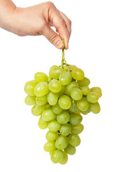 Hand holding a bunch of grapes isolated on white background