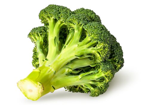 Large inflorescences of fresh broccoli bottom view isolated on white background