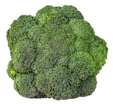 Large inflorescences of fresh broccoli top view isolated on white background