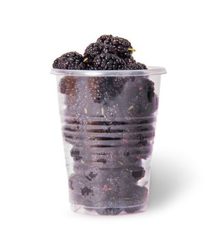 Mulberry in a plastic cup isolated on white background