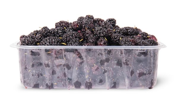 Mulberry in a plastic tray isolated on white background