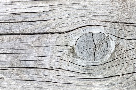 Abstract background old cracked wood with knots