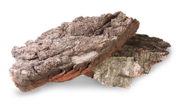 Pieces Of Dry Bark Of Birch And Oak Isolated On White Background