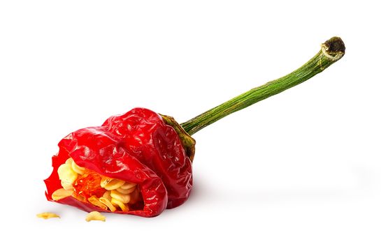 Piece red hot chili pepper with seeds isolated on white background