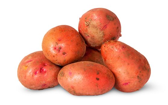 Pile of dirty potatoes isolated on white background