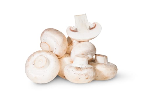 Pile Of Mushrooms And One Half Isolated On White Background