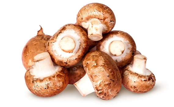 Pile of fresh brown champignon top view isolated on white background