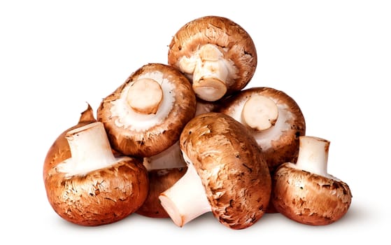 Pile of fresh brown champignon isolated on white background