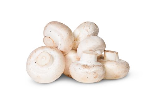 Pile Of Mushrooms Isolated On White Background