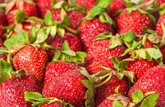 Abstract background of red strawberries with green tails