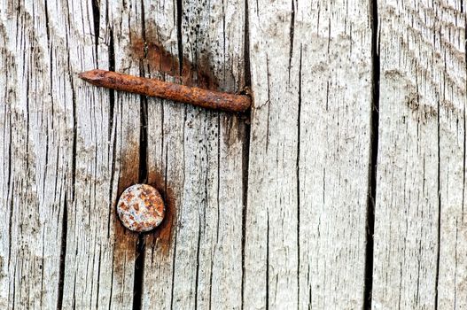 Background rusty nails in an old cracked wood