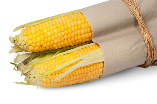 Several corn cob in paper bag tied with rope isolated on white background