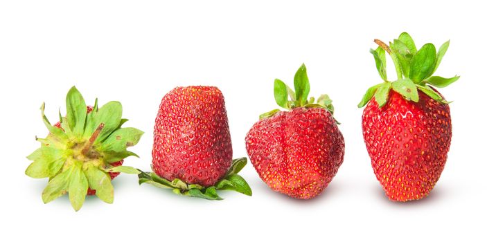 Several strawberries in a row isolated on white background