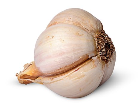 Single garlic bulb lying on the side isolated on white background