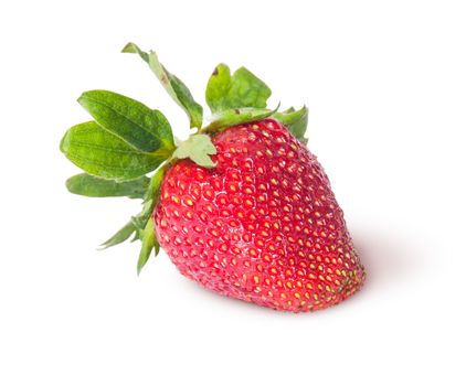 Single freshly strawberries isolated on white background