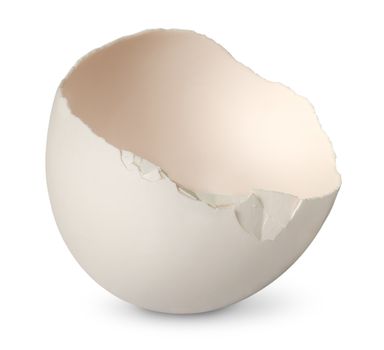 Single half from crashed egg isolated on white background