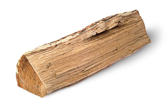 Single log of wood horizontally isolated on white background