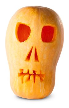 Skull Pumpkin Halloween Jack O'Lantern Isolated On White Background