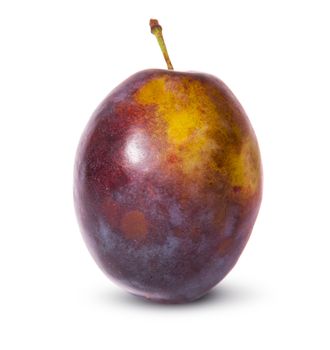 Single violet plum isolated on white background