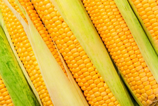 Background of stacked near peeled corn cobs diagonally