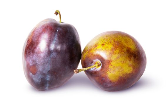 Supine and standing ripe violet plum isolated on white background