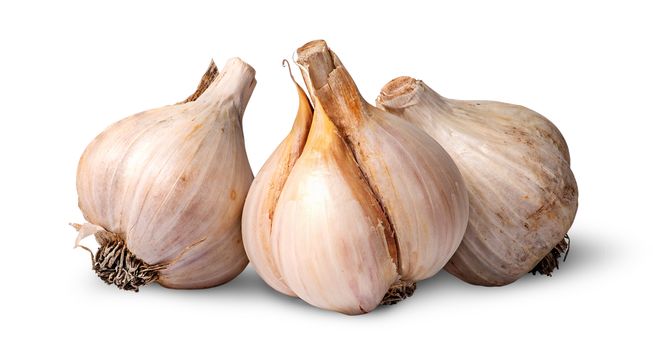 Three bulbs of garlic beside isolated on white background