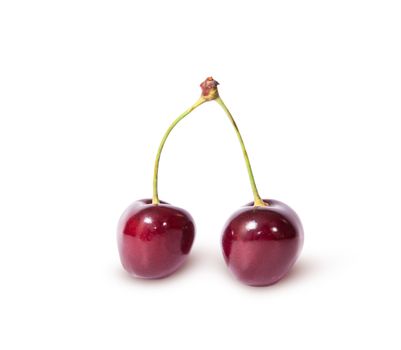 Two burgundy sweet cherries isolated on white background