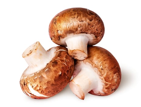 Three whole fresh brown champignons isolated on white background