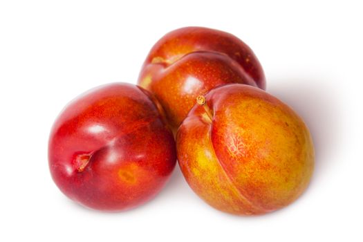 Three yellow and red plum near isolated on white background