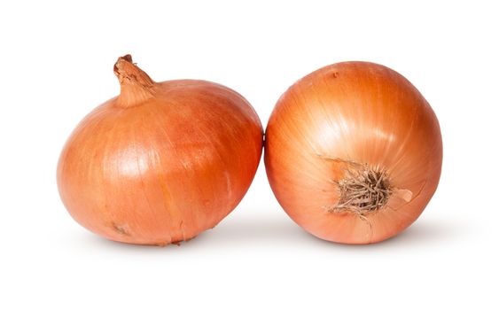 Two Fresh Golden Onions Isolated On White Background