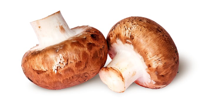Two fresh brown mushroom beside isolated on white background