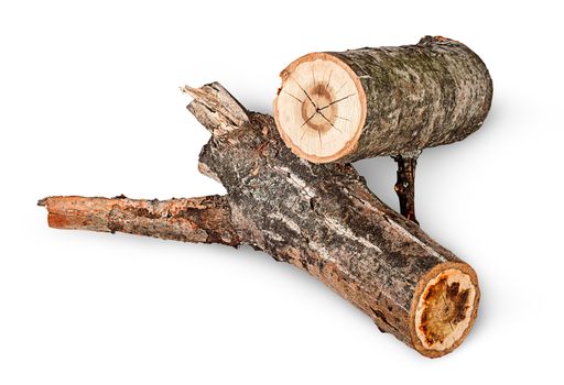 Two poplar logs rotated isolated on white background