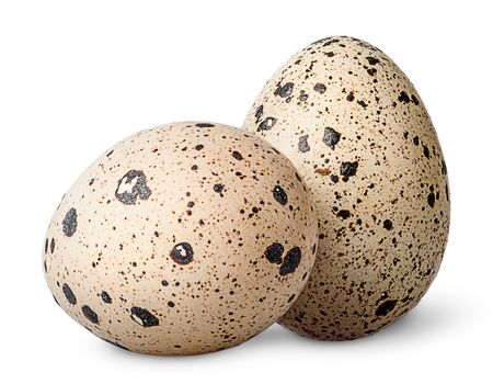 Two quail eggs beside isolated on white background