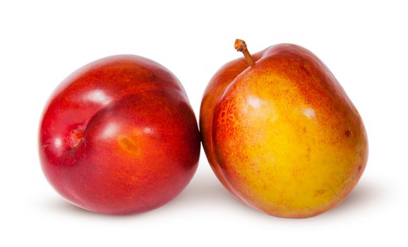 Two yellow and red plum near isolated on white background