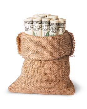 Vertical money in the bag isolated on a white background