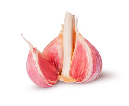 Young fresh garlic isolated on white background