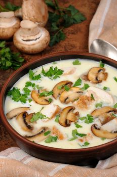 Delicate soup puree from champignons and chicken with herbs