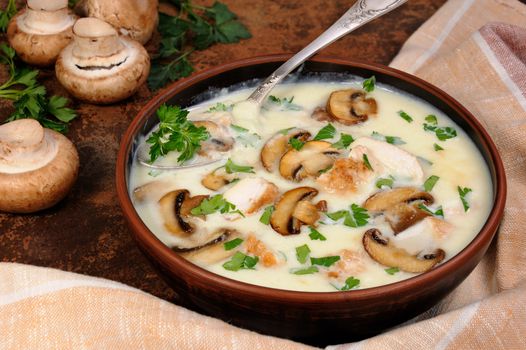 Delicate soup puree from champignons and chicken with herbs