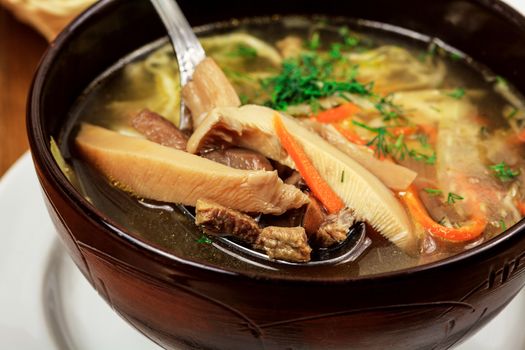 Plate of vegetable soup with meat