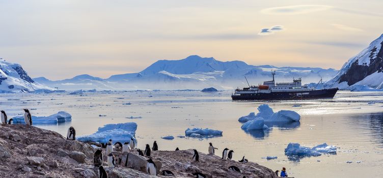 Antarctic cruise ship among icebergs and Gentoo penguins gathered on the shore of Neco bay, Antarctica