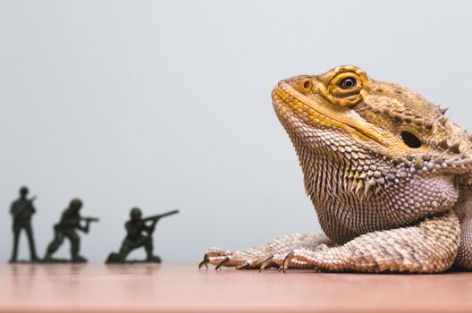 bearded dragon monster attacked by plastic soldiers