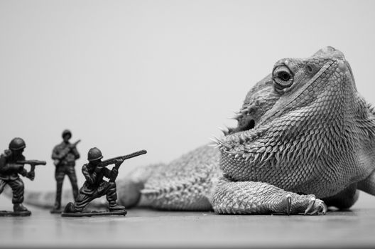 bearded dragon monster attacked by plastic soldiers