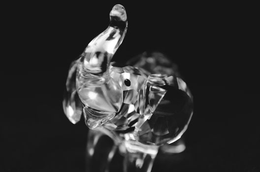 crystal elephant figurine isolated on black background
