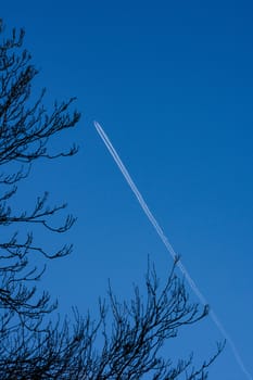 airplane in the blue sky leaving the trails behind, looking through trees
