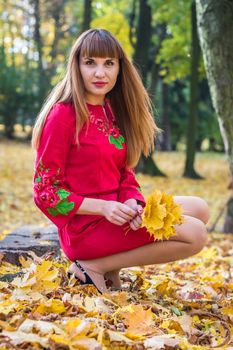 portrait of a beautiful, girl with long straight hair in a red short dress in the park in autumn